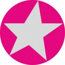 images/productimages/small/Sticker fel roze met zilveren ster.jpg